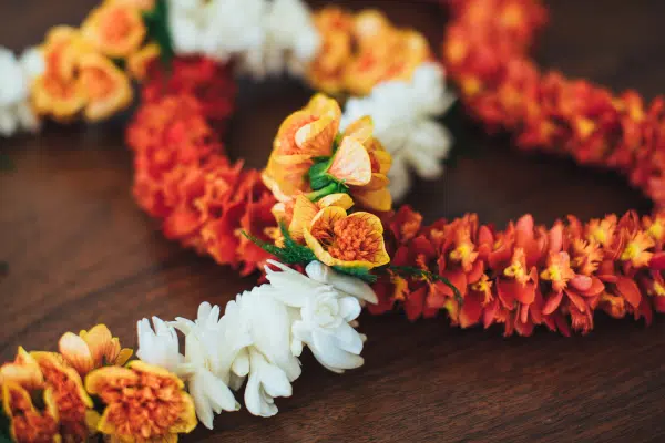Hawaii-Tourism-Authority-HTA-Mark-Kushimi