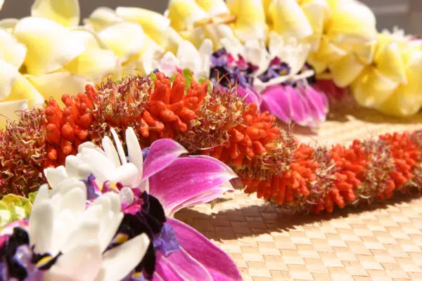 Hawaii-Tourism-Authority-HTA-Shingo-Matsushima-1