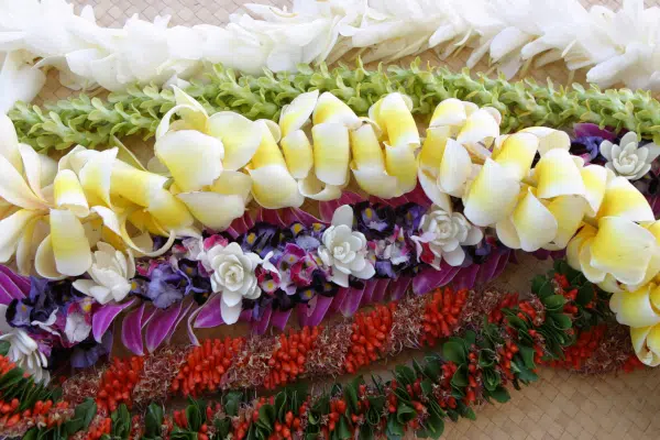 Hawaii-Tourism-Authority-HTA-Shingo-Matsushima