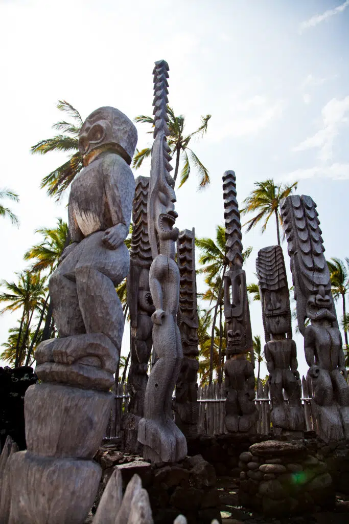 Hawaii-Tourism-Authority-HTA-Tor-Johnson-1-1-683x1024