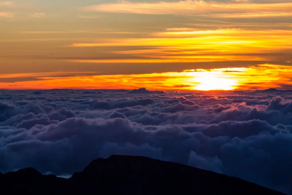 Hawaii-Tourism-Authority-HTA-Tor-Johnson-7-1024x683