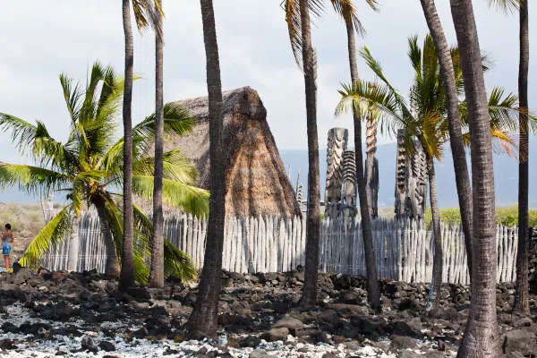 Hawaii-Tourism-Authority-HTA-Tor-Johnson-skaliert-2