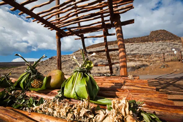 Hawaii-Tourism-Authority-HTA.-Tor-Johnson-skaliert