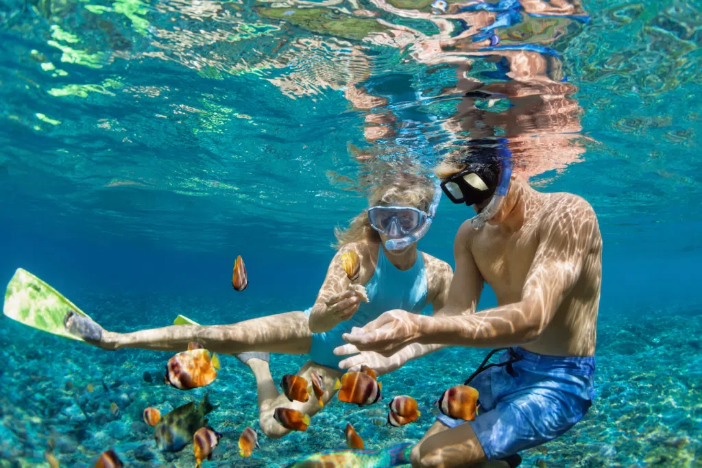 leute-schwimmen-mit-fische-1024x683