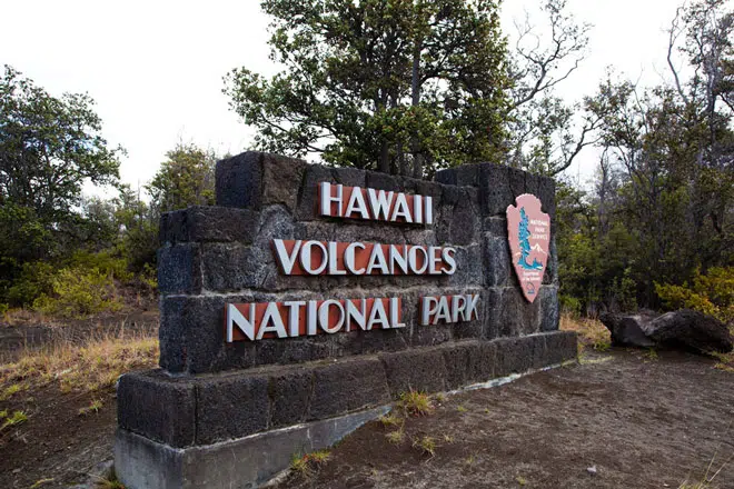 vnp