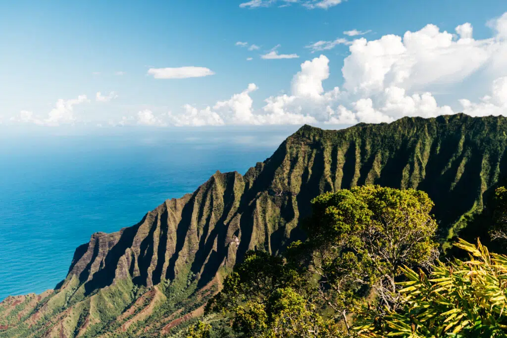 Hawaii-Tourism-Authority-HTA-Ben-Ono-2-1-1024x683