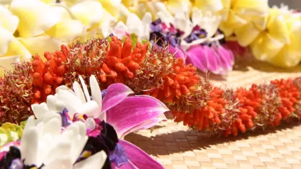 Hawaii-Tourism-Authority-HTA-Shingo-Matsushima-1