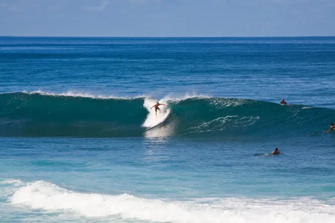Hawaii-Tourism-Authority-HTA-Tor-Johnson-6-1-675x450