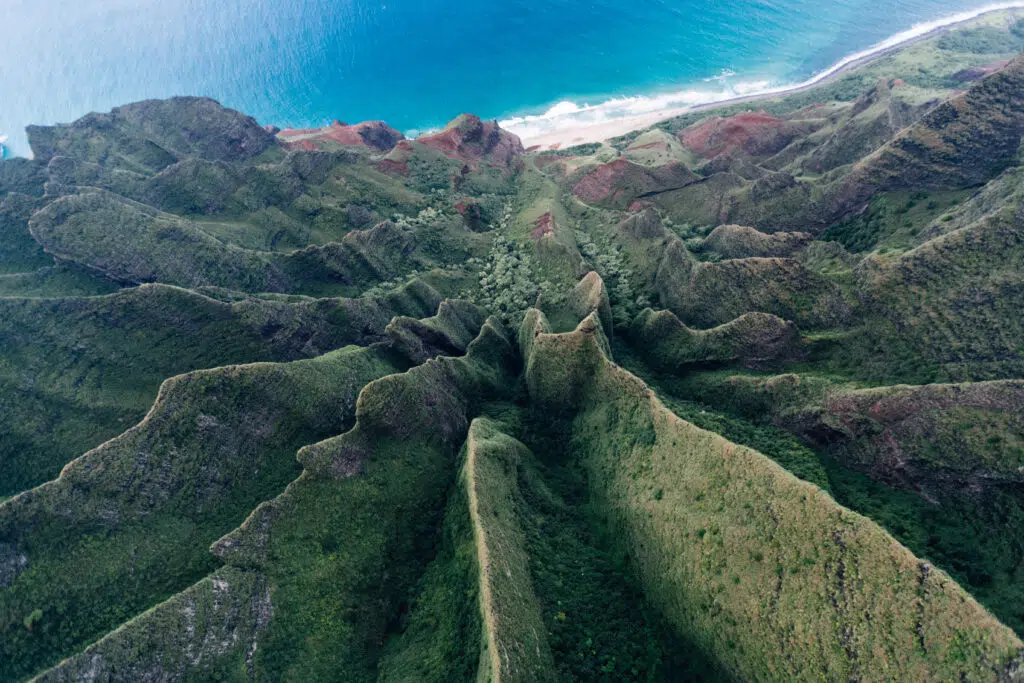 Hawaii-Tourism-Authority-HTA-_Ben-Ono-1-1024x683