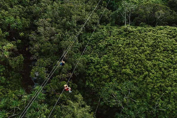 Kualoa-Ranch-Content
