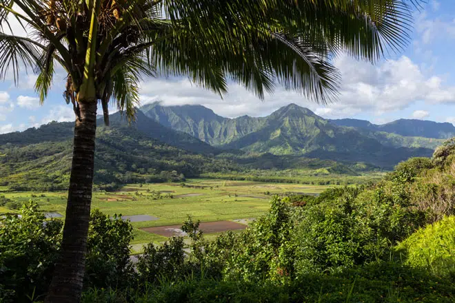 hanalei-valley-lookout