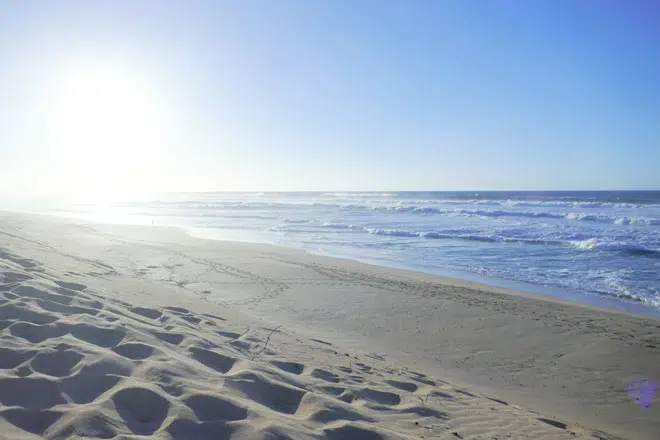 polihale