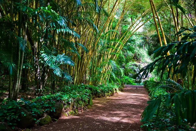 wandern-hawaii