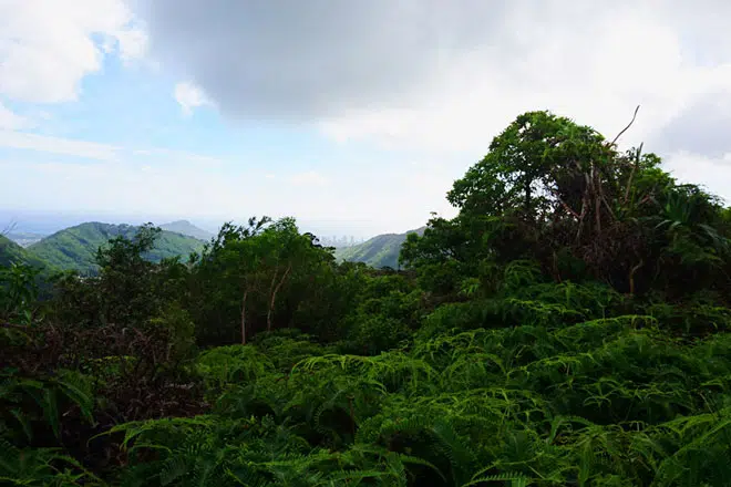 wandern_oahu
