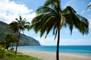 Molokai Sea Cliffs